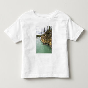 Camiseta Infantil Canadá, Alberta, Parque Nacional Jasper, Athabasca