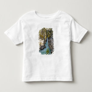 Camiseta Infantil Canadá, Alberta, Parque Nacional Jasper, Athabasca