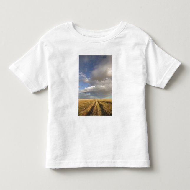 Camiseta Infantil Canadá, Alberta, Stand Off: Paisagem com (Frente)