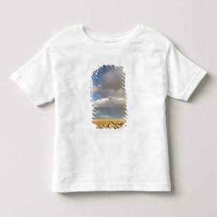 Camiseta Infantil Canadá, Alberta, Stand Off: Paisagem com