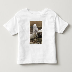Camiseta Infantil Canadá, Baía Boundary, Coruja da Neve