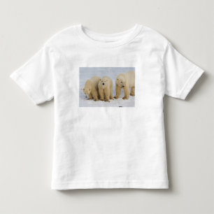 Camiseta Infantil Canadá, Baía de Hudson. Mãe ursa polar com dois