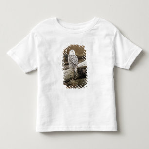 Camiseta Infantil Canadá, Boundary Bay, Snowy Owl