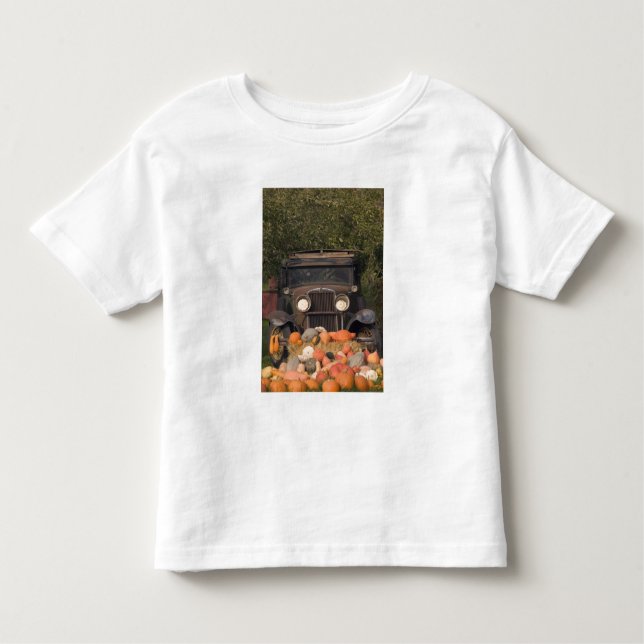 Camiseta Infantil CANADÁ, British Columbia, Keremeos. Outono / 2 (Frente)