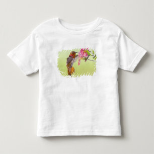 Camiseta Infantil Canadá, Colúmbia Britânica, Beija-flor-de-rúcula