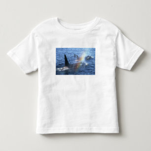 Camiseta Infantil Canadá, Colúmbia Britânica, Johnstone Straight,