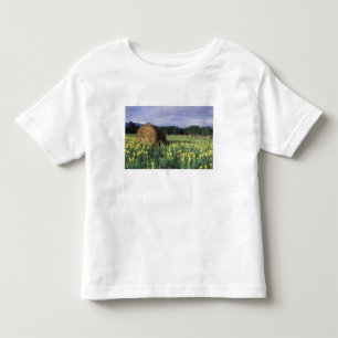 Camiseta Infantil Canadá, Colúmbia Britânica, Kitwanga. Amarelo