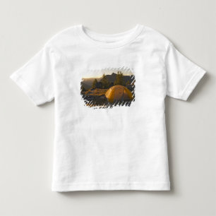 Camiseta Infantil Canadá, Colúmbia Britânica, Provincial Cathedral