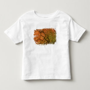 Camiseta Infantil CANADÁ, Colúmbia Britânica, Vitória. Outono 2