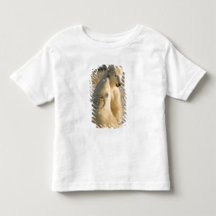 Camiseta Infantil Canadá, Manitoba, Baía de Hudson, Churchill.