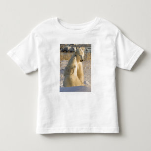 Camiseta Infantil Canadá, Manitoba, Baía de Hudson, Churchill.