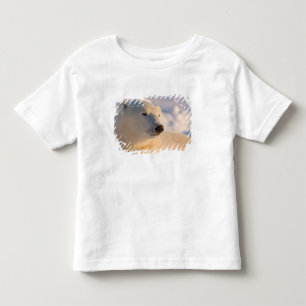 Camiseta Infantil Canadá, Manitoba, Baía de Hudson Urso Polar