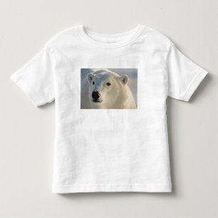 Camiseta Infantil Canadá, Manitoba, Baía de Hudson Urso Polar