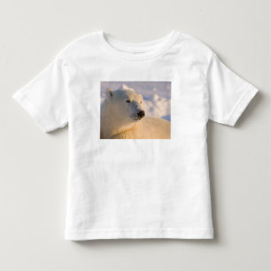Camiseta Infantil Canadá, Manitoba, Baía de Hudson Urso Polar