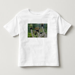 Camiseta Infantil Canadá, New Brunswick, St Andrews. Bules de chá