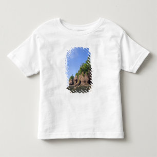 Camiseta Infantil Canadá, Nova Brunswick, Hopewell Cape, Baía de