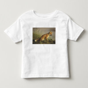 Camiseta Infantil Canadá, Quebec. Filhote de raposa vermelha ao nasc