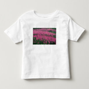 Camiseta Infantil Canadá, Quebec, Gaspe. Flores Roxas de Lythrum,