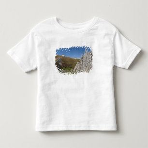 Camiseta Infantil Canadá, Terra Nova e Labrador, L'Anse Aux 2