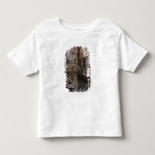 Camiseta Infantil Canais de Veneza e ponte de pedra