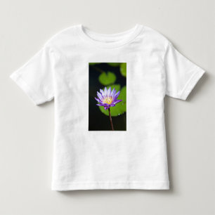 Camiseta Infantil Cancun, México