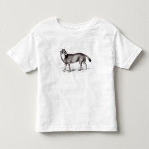 Camiseta Infantil Canis Antarcticus