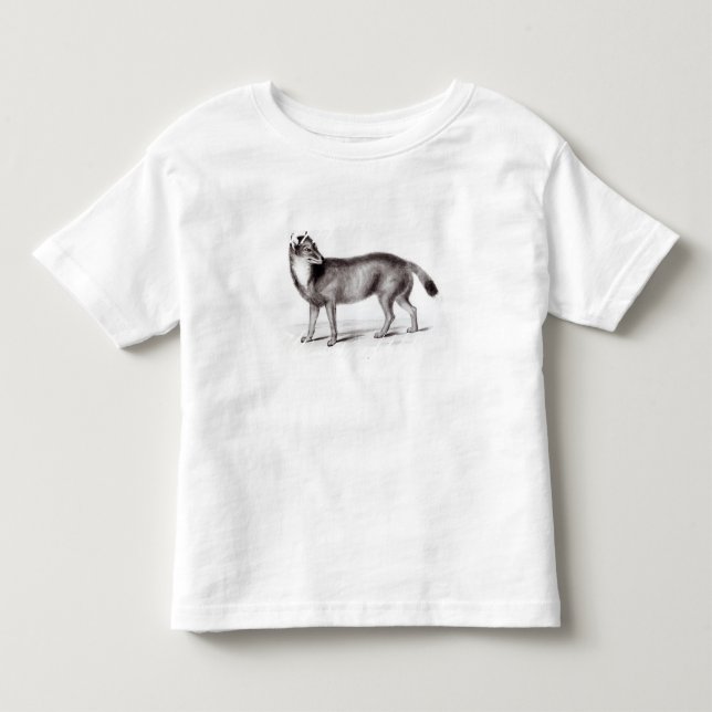 Camiseta Infantil Canis Antarcticus (Frente)