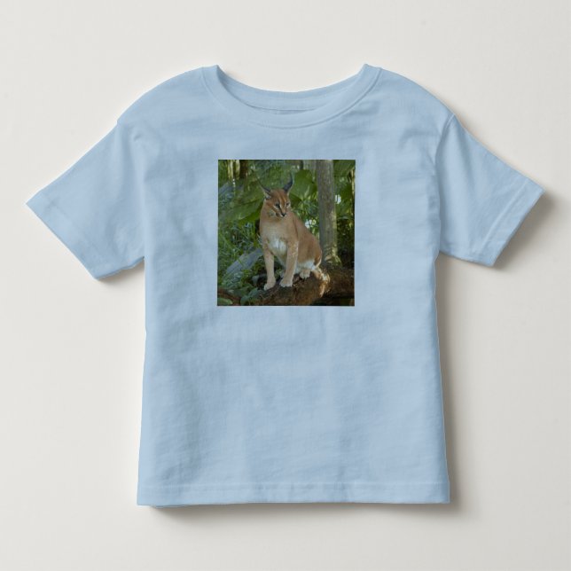 Camiseta Infantil CaracalBCR015 (Frente)