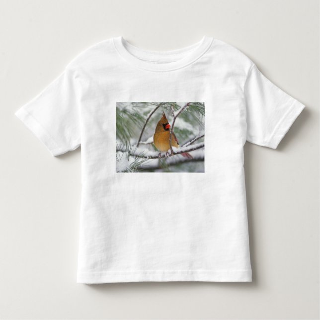 Camiseta Infantil Cardeal de Norte feminino em pinheiro de neve. (Frente)