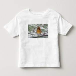 Camiseta Infantil Cardinal-do-norte fêmea em pinheiro coberto de nev
