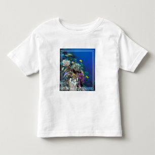 Camiseta Infantil Cardumes de Salmonete em torno de pequeno coral