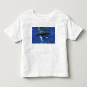 Camiseta Infantil Caribe, arquipélago das Grandes Antilhas,