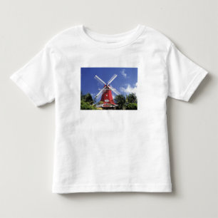 Camiseta Infantil Caribe, Aruba. Moinho Antigo, convertido em 'Moinh