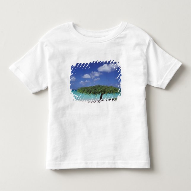 Camiseta Infantil Caribe, Aruba. Praia da Águia (Frente)