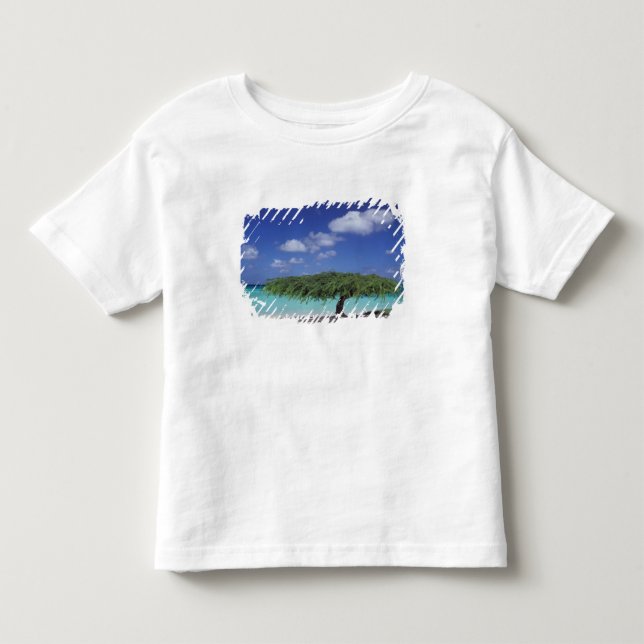 Camiseta Infantil Caribe, Aruba. Praia Eagle (Frente)
