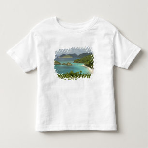 Camiseta Infantil Caribe, Ilhas Virgens Americanas, Rua John, Trunk