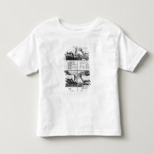 Camiseta Infantil Carne, vitela, carne de porco, e cortes da carne