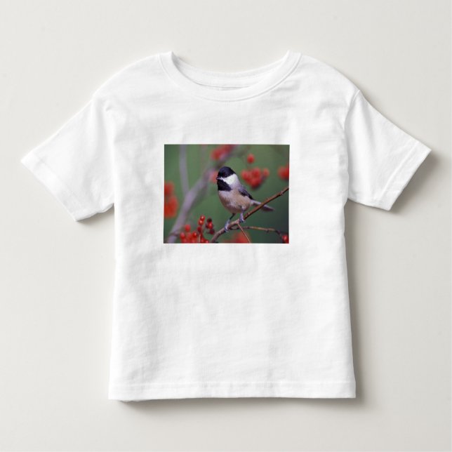 Camiseta Infantil Carolina Chickadee (Frente)