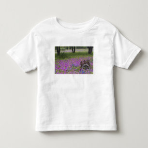 Camiseta Infantil Carrinho de madeira em campo de Phlox, Bonés Azuis