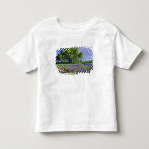 Camiseta Infantil Carvalho Vivo & Pincel de Pintura do Texas, e Texa