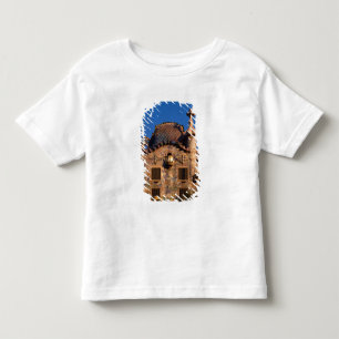 Camiseta Infantil Casa Batilo, Arquitetura Gaudi, Barcelona,