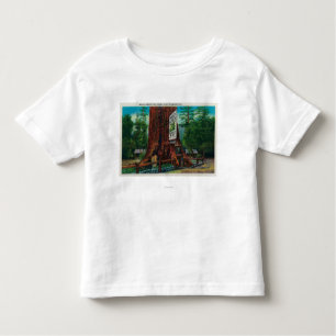 Camiseta Infantil Casa na árvore mundialmente famosa, parque da