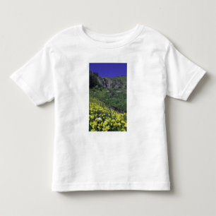 Camiseta Infantil Cascata e flores silvestres em prados alpinos,