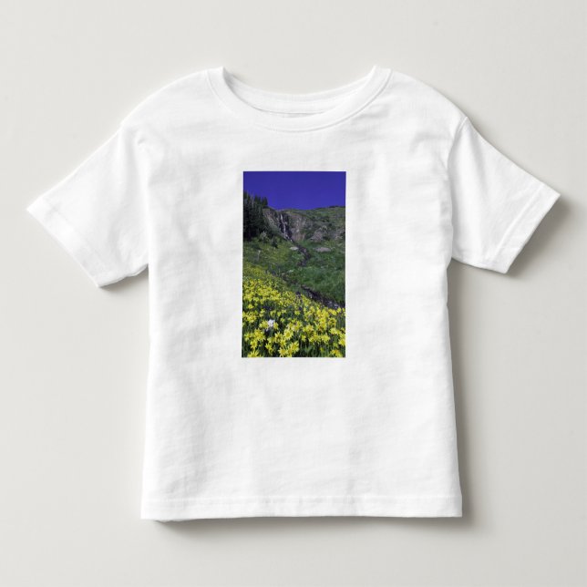 Camiseta Infantil Cascata e flores silvestres em prados alpinos, (Frente)