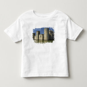 Camiseta Infantil Castelo de Bodiam (1385), refletido na vala, Leste