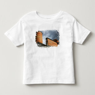 Camiseta Infantil Castelo de Turaida, Sigulda, Letônia