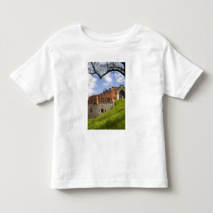 Camiseta Infantil Castelo de Wawel, Cracóvia, Polônia
