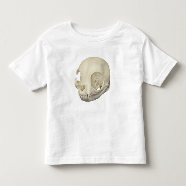 Camiseta Infantil Cat Skull (Frente)