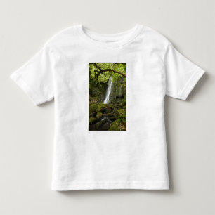 Camiseta Infantil Cataratas Matai, Catlins, South Otago