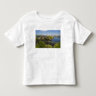 Camiseta Infantil Cataratas reversas no rio St. John em St. 2